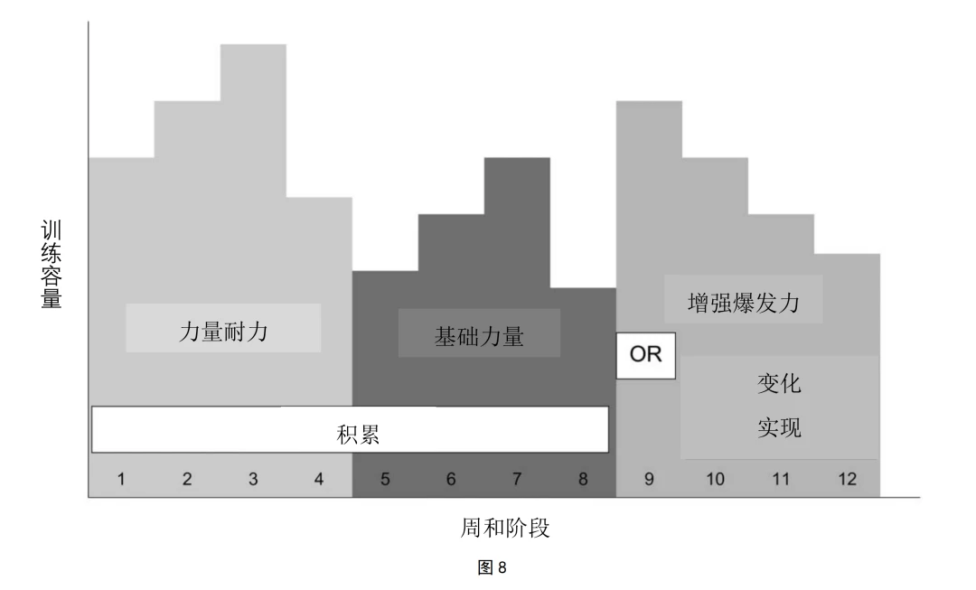 如何选择适合篮球康复训练的器材_2